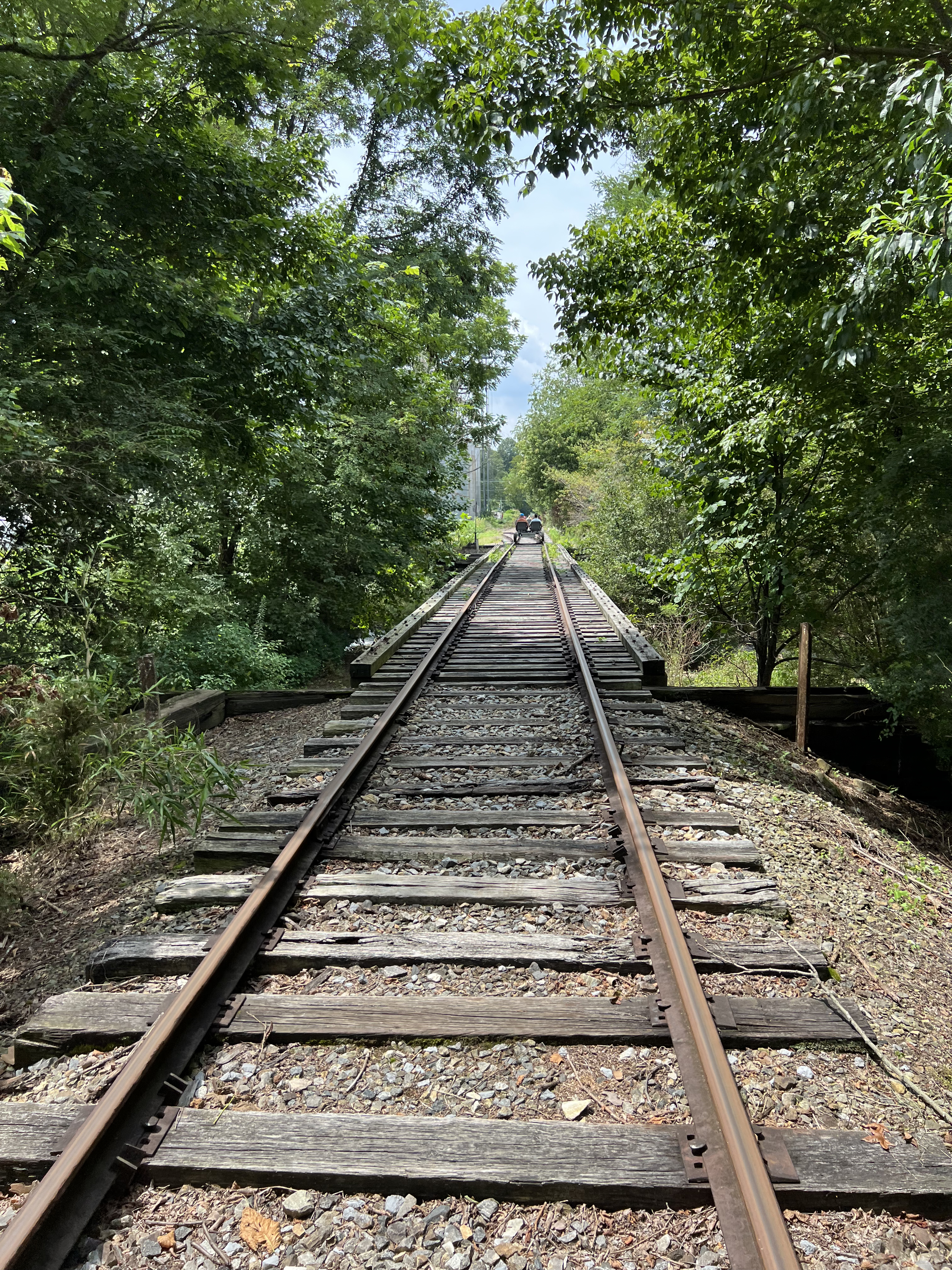 ./2023/11 - Asheville/IMG_9909.jpg